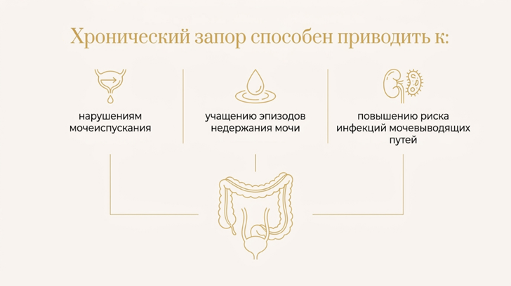 Профилактика урогинекологических заболеваний_2.png