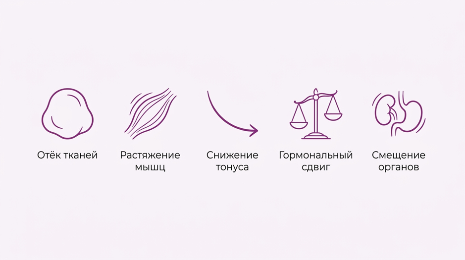 Ощущение &laquo;чего-то лишнего&raquo; во влагалище после родов_1.png