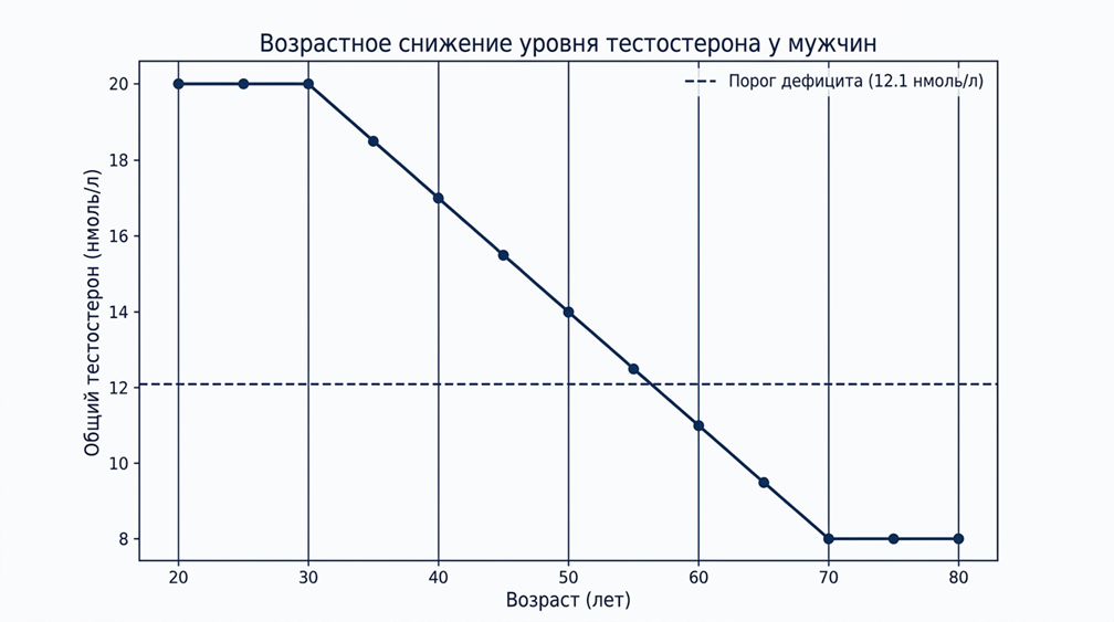Возрастное снижение тестостерона у мужчин.png