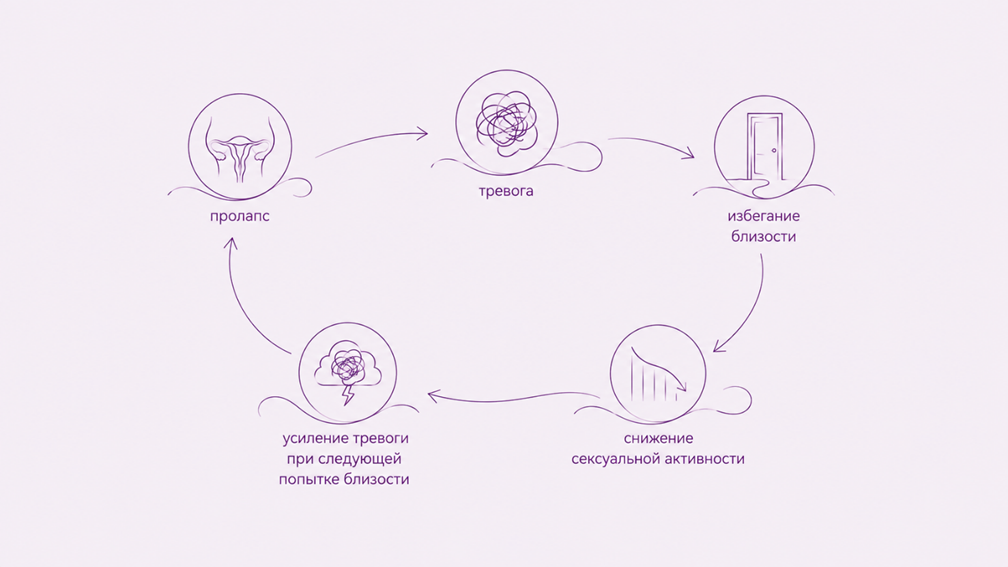 Пролапс тазовых органов и интимная жизнь4.png